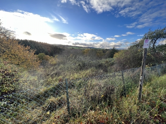 Image 14212/3