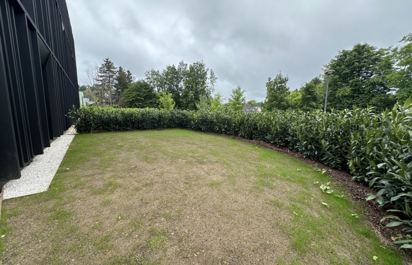 Image 47903/18