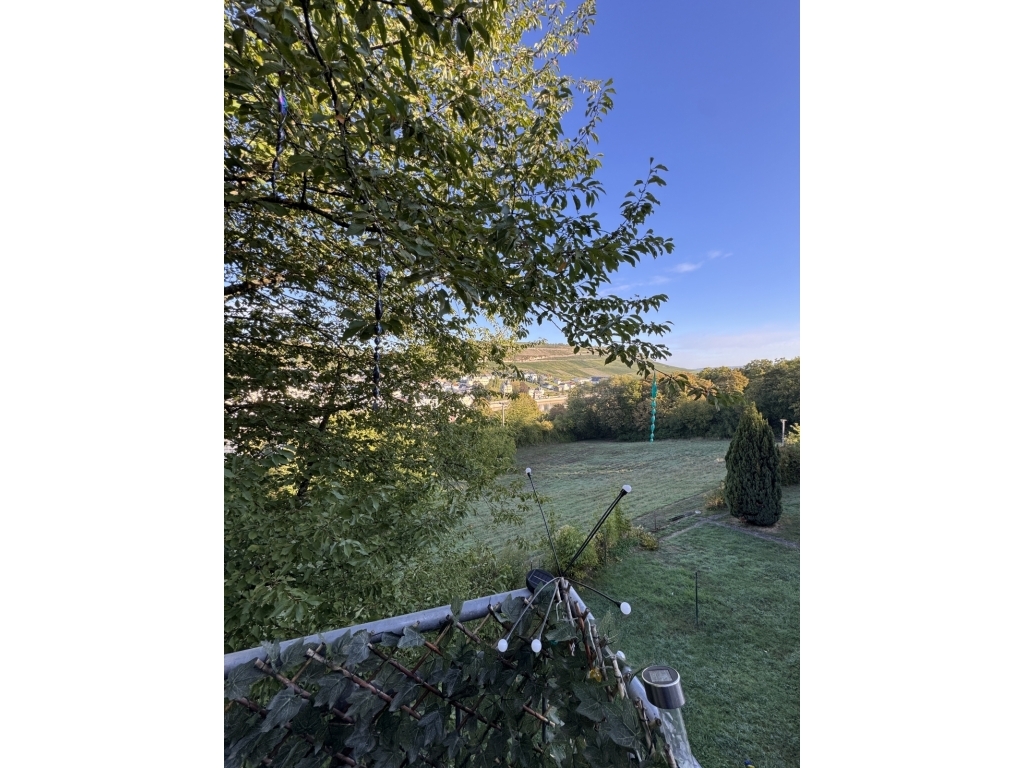 Image 49171/2