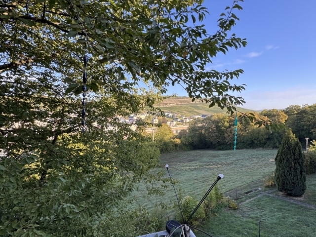 Image 49171/2