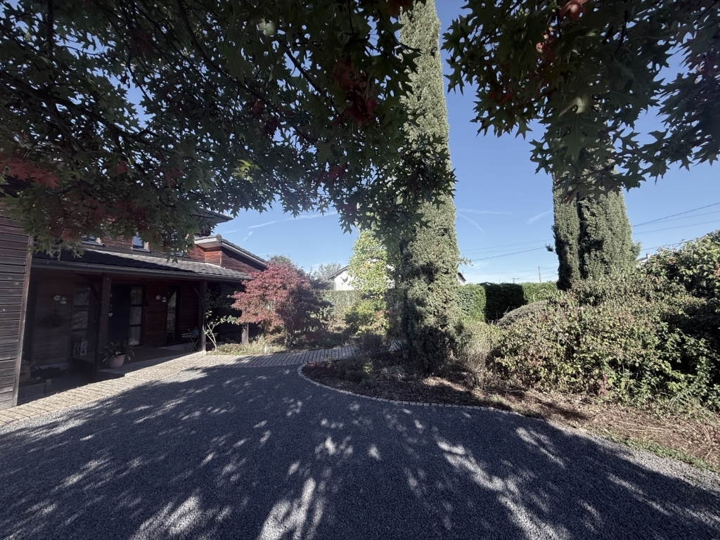 Image 49246/20