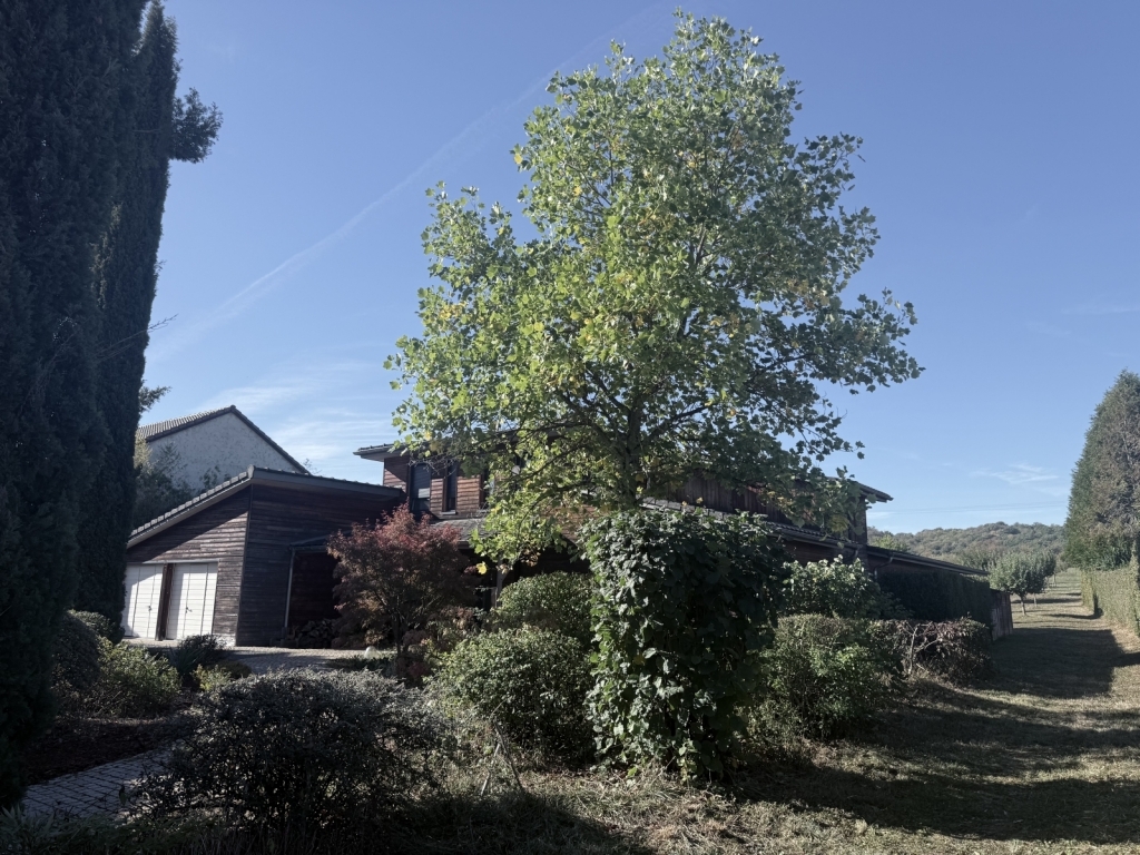 Image 49247/21