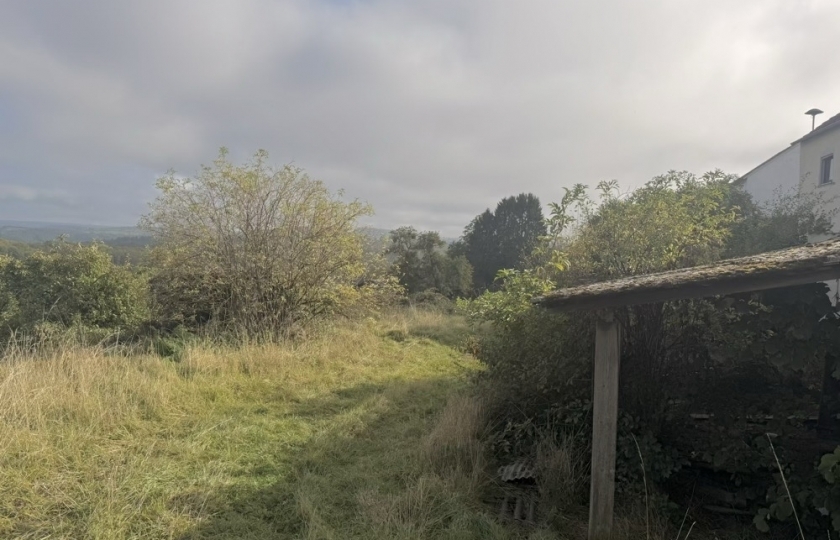 Image 49371/10