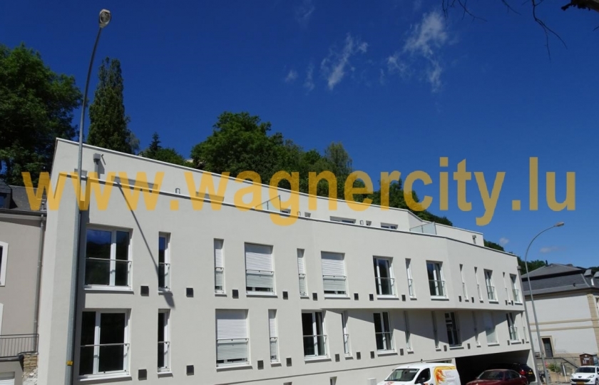 Image 49401/1