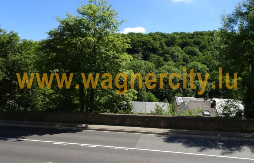 Image 49402/2