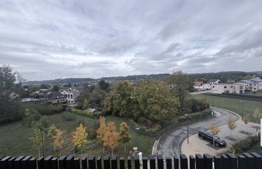 Image 49463/29