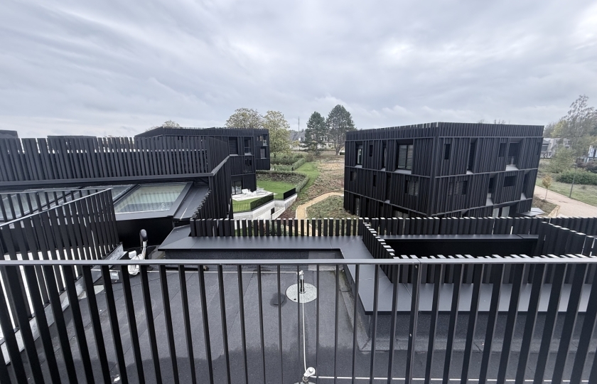 Image 49465/31