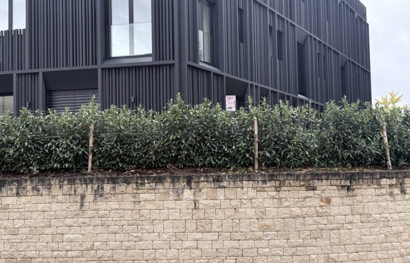 Image 49467/21