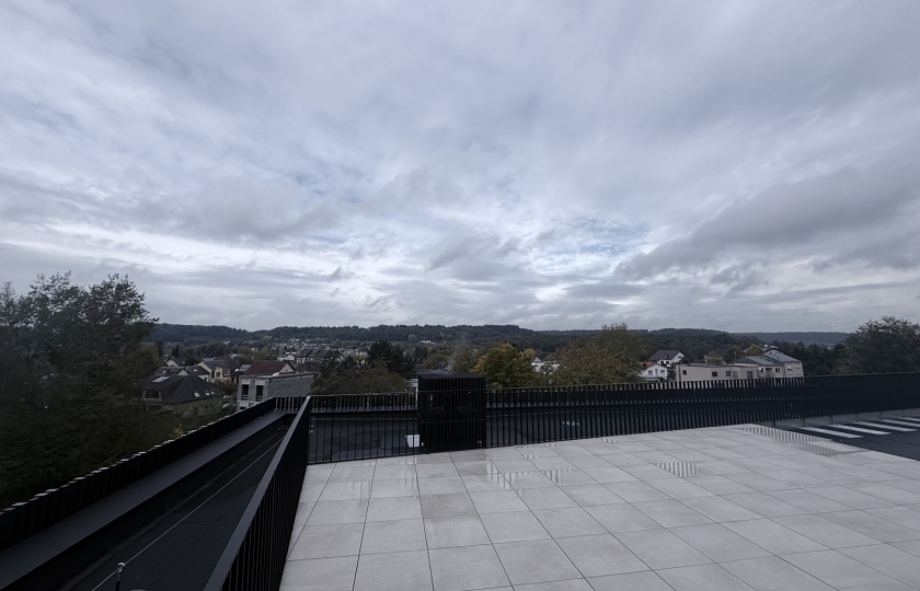 Image 49489/26