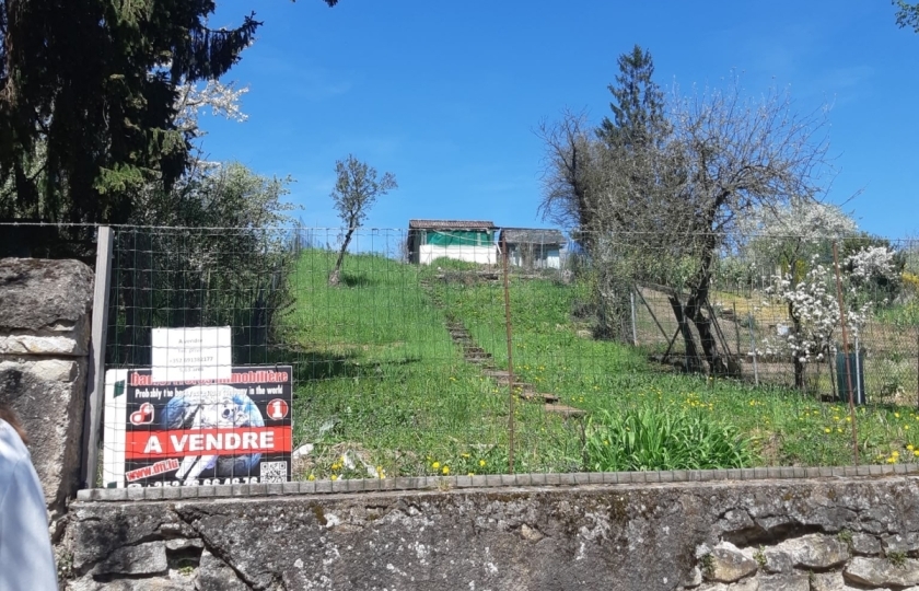 Image 49526/1