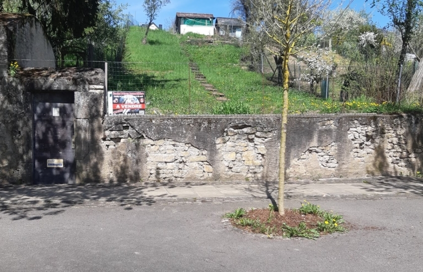 Image 49528/2