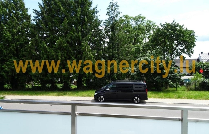 Image 49536/3